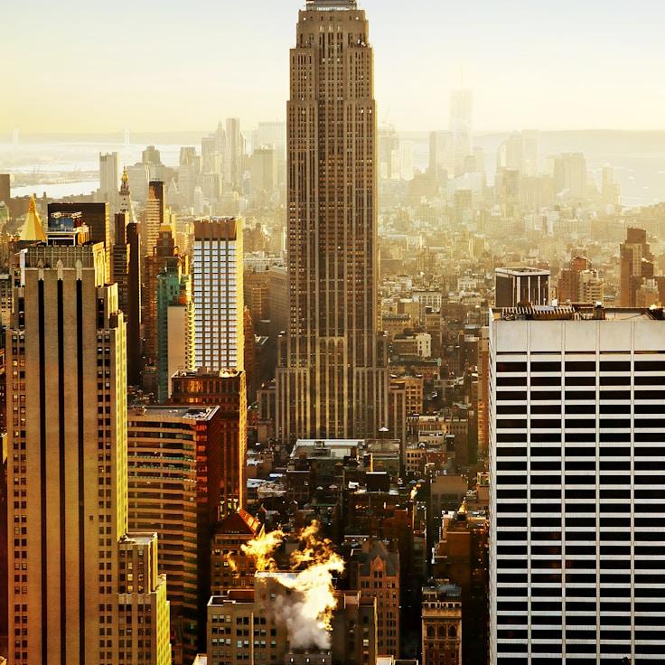 Family routine and school logistics in Springfield