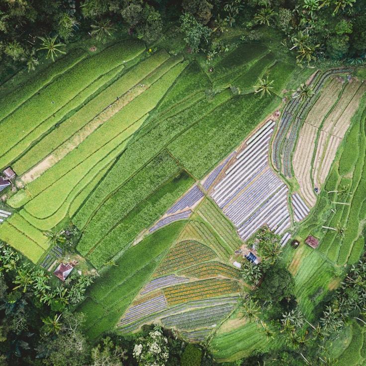 Kids playground area in United States